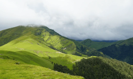 Ali Bedni Bugyal Trek